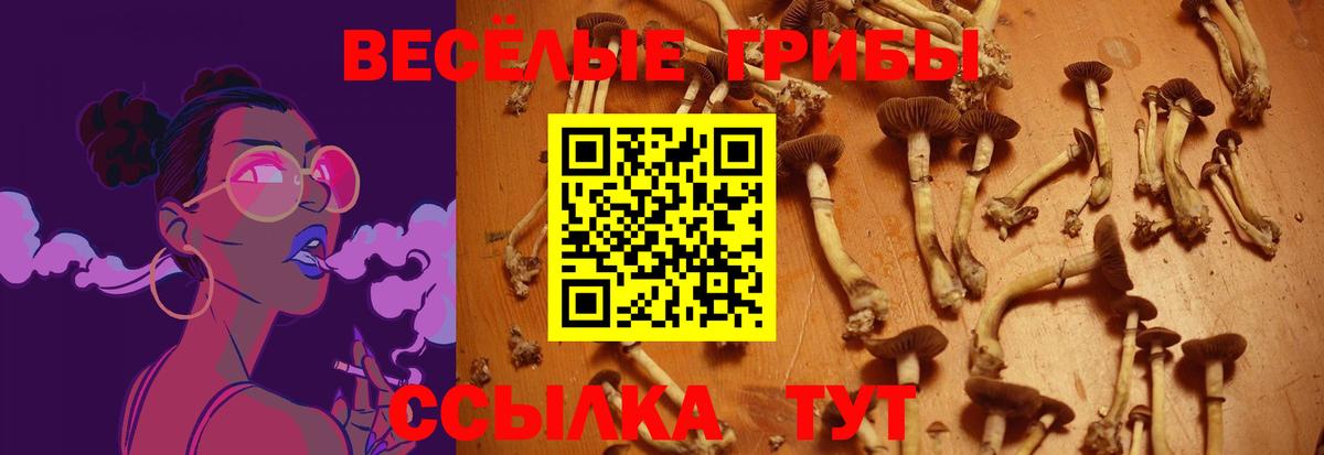 Галлюциногенные грибы прущие грибы  Вход с VPN  Ишимбай 